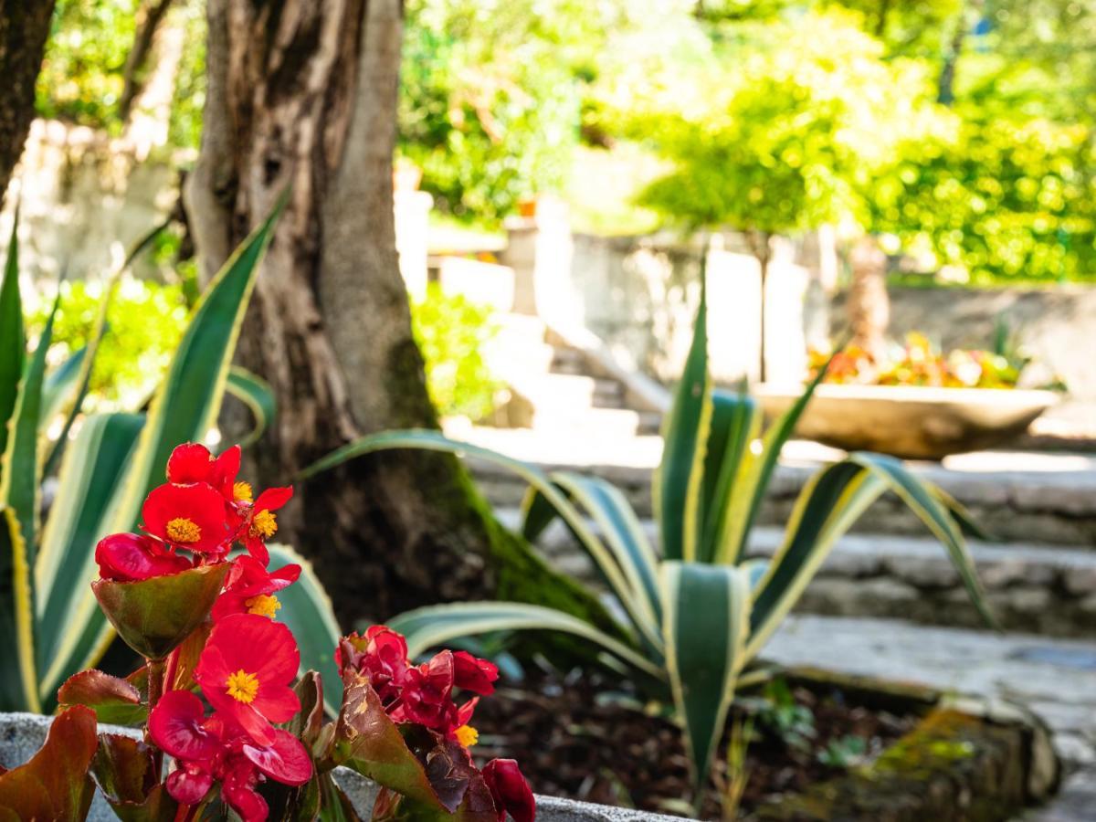 Hotel Leonardo Da Vinci Limone sul Garda Bagian luar foto